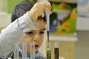 Ein Junge pipettiert farbiges Wasser in Reagenzgläser