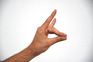 Zeigefinger und kleiner Finger zeigen nach oben, um die Ohren eines Fuchses anzudeuten, Mittelfinger und Ringfinger werden gegen den Daumen gepresst, um das Maul eines Fuches zu imitieren.